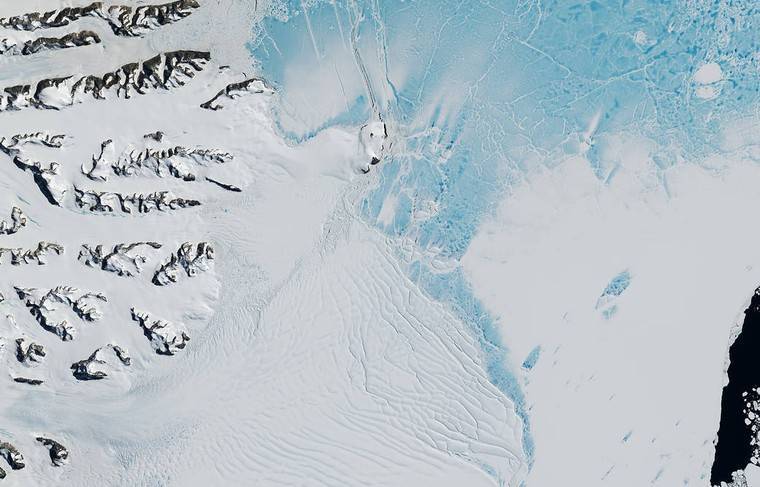 Из-за потепления антарктический остров потерял 20% снежного покрова