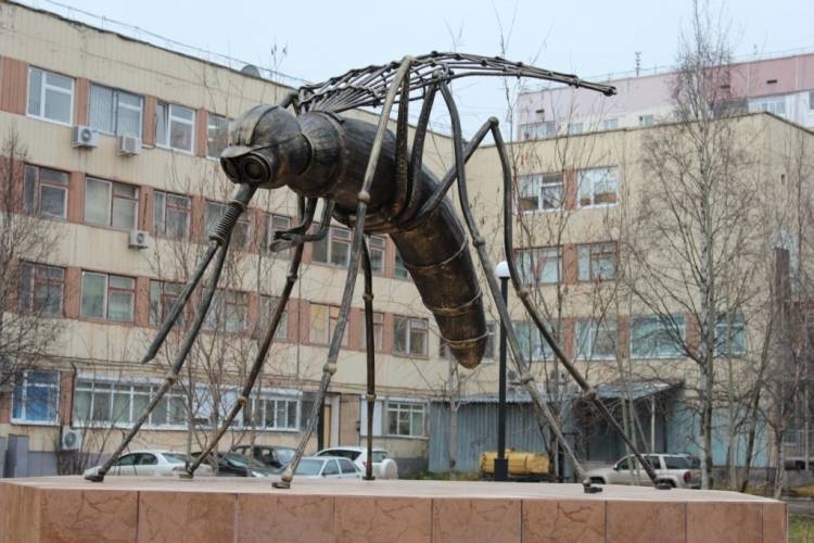 Москвичка загорелась в попытках убить комара