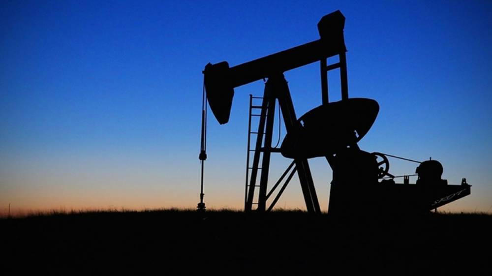 Пять российских компаний занялись поставками нефти в Белоруссию