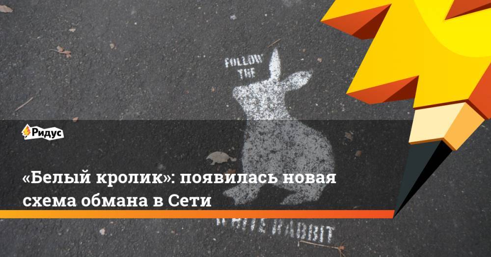 «Белый кролик»: появилась новая схема обмана в Сети