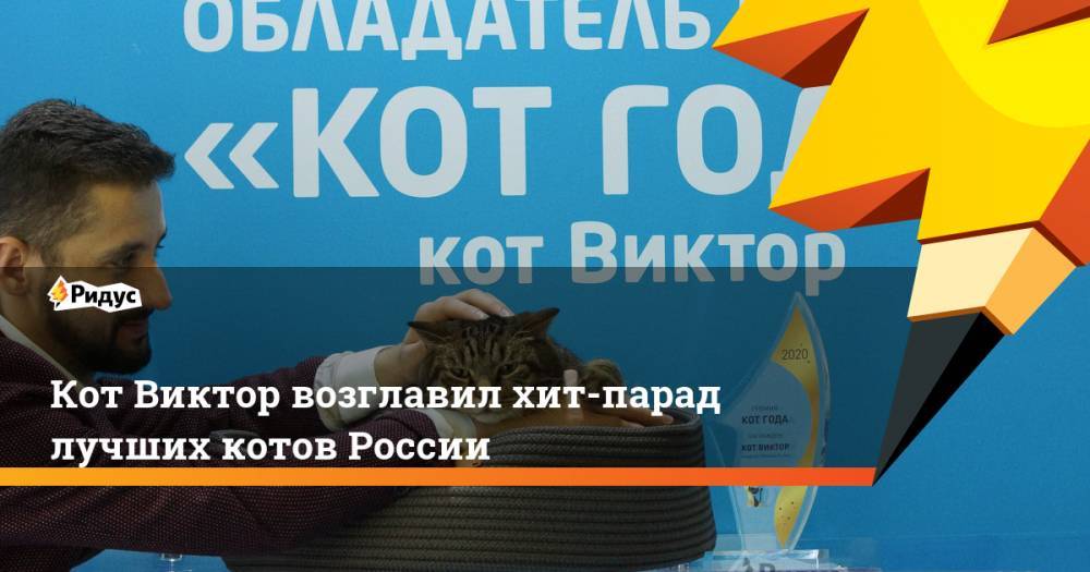 Кот Виктор возглавил хит-парад лучших котов России