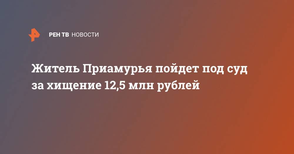 Житель Приамурья пойдет под суд за хищение 12,5 млн рублей