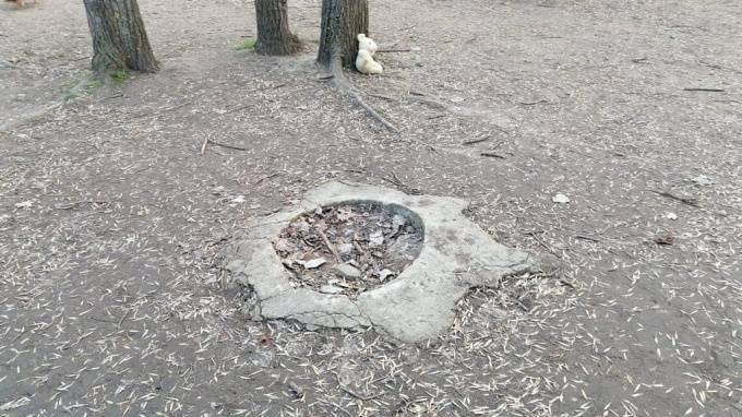 В Запорожье в парке деревянная скульптура упала и убила 8-летнюю девочку