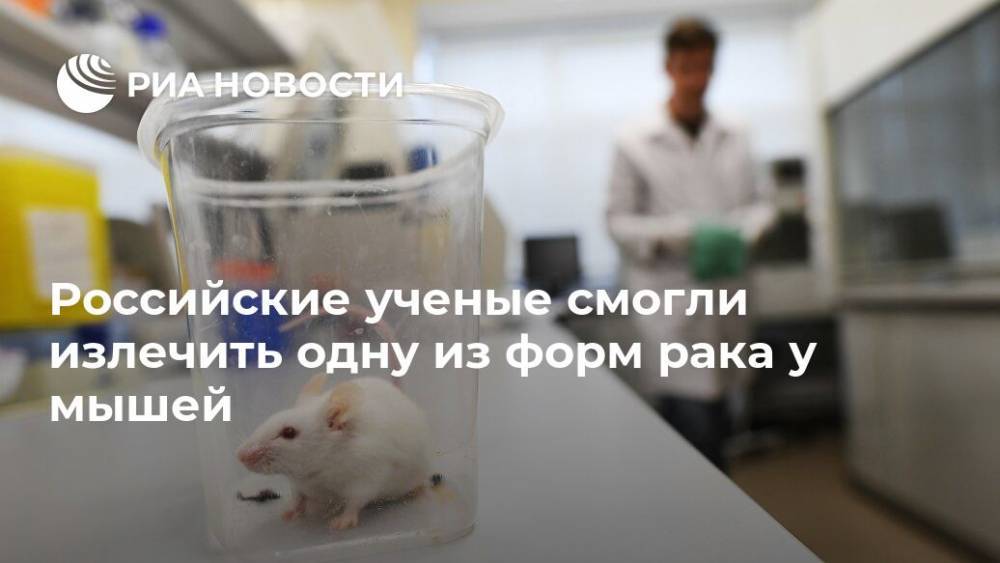 Российские ученые смогли излечить одну из форм рака у мышей