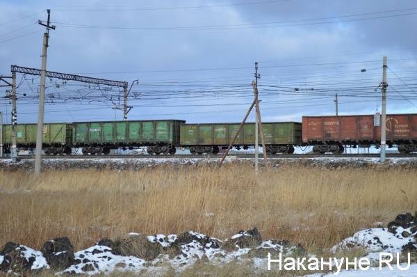 В Свердловской, Челябинской и Курганской областях под поездами погибли три человека, еще один получил травмы