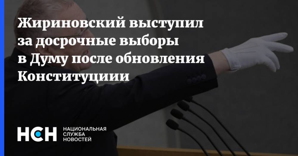 Жириновский выступил за досрочные выборы в Думу после обновления Конституциии