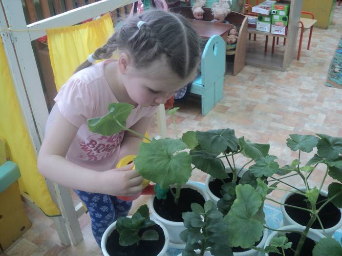 Дети из села Юкаменское сами вырастили цветы для бабушек из дома ветеранов