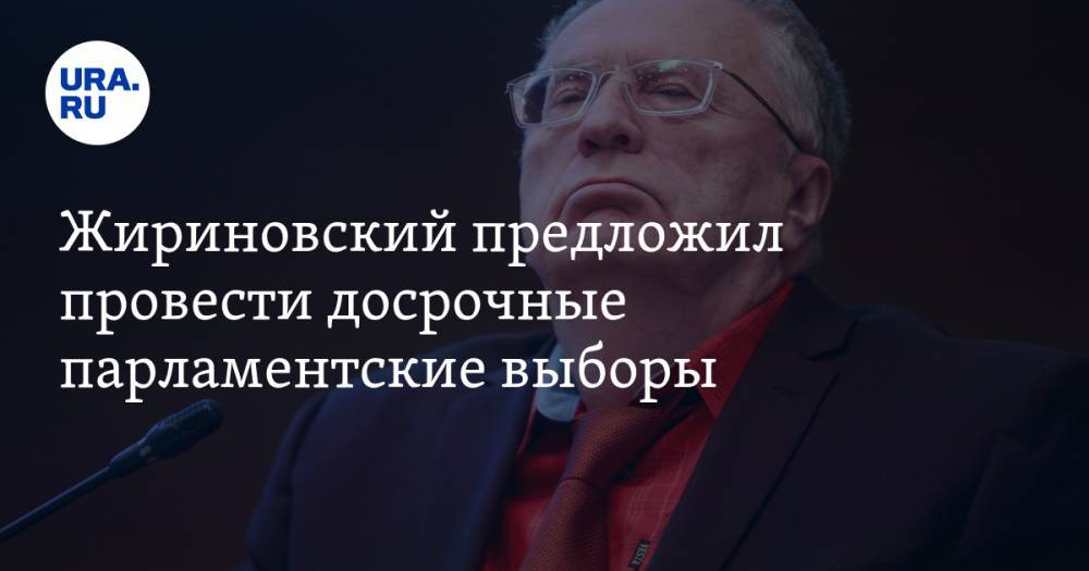 Жириновский предложил провести досрочные парламентские выборы