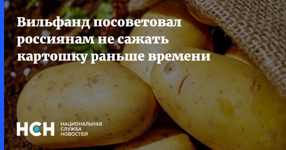 Вильфанд посоветовал россиянам не сажать картошку раньше времени