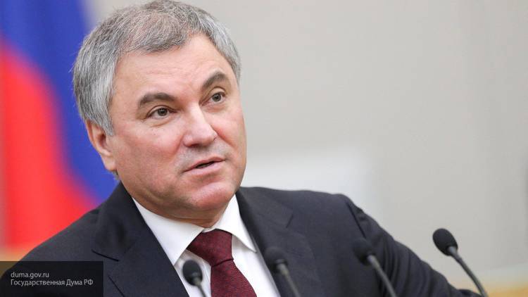 Володин заявил, что правительство РФ рассмотрит предложение о досрочных выборах