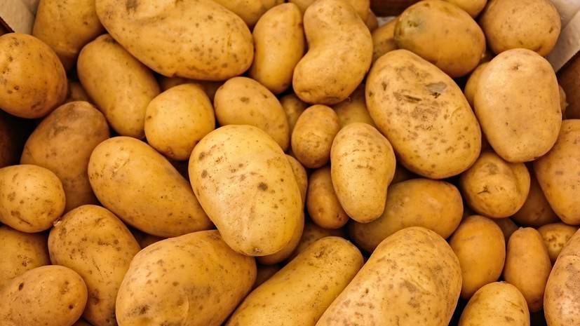 Диетолог рассказала о полезных свойствах картофеля