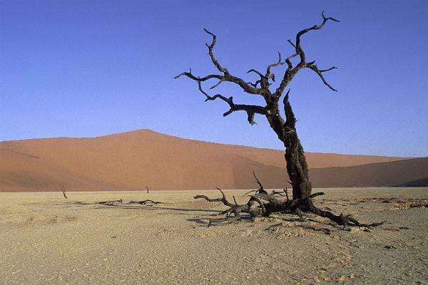 Китайские ученые создали глобальный индекс риска наступления пустынь