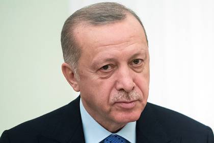 Эрдоган предложил Путину сирийские нефтяные месторождения