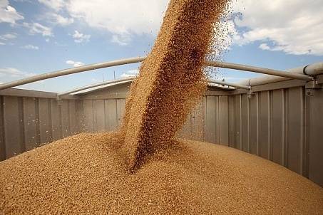 В Минсельхозе услышали просьбу курганского бизнесмена и установили льготный тариф на перевозку зерна