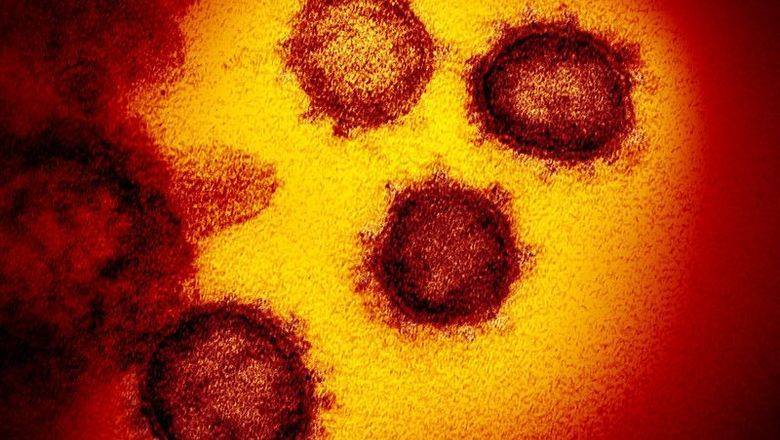 Поторопились! Заявления китайских ученых о мутации коронавируса – это спекуляция