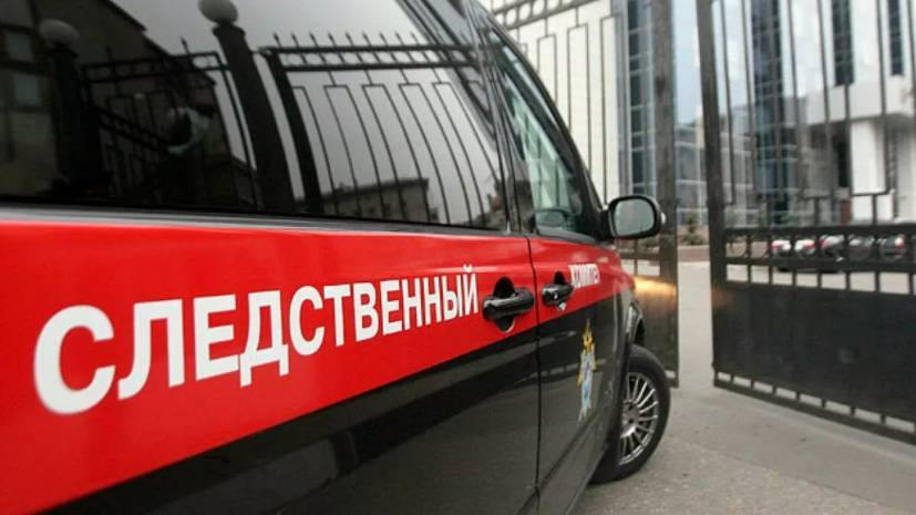 В Саратовской области рассказали о проверке после нападения собаки на пятилетнего мальчика