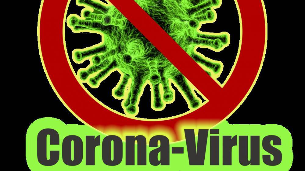ФСБ и НАК должны наказать информационных террористов, распространяющих фейки о коронавирусе