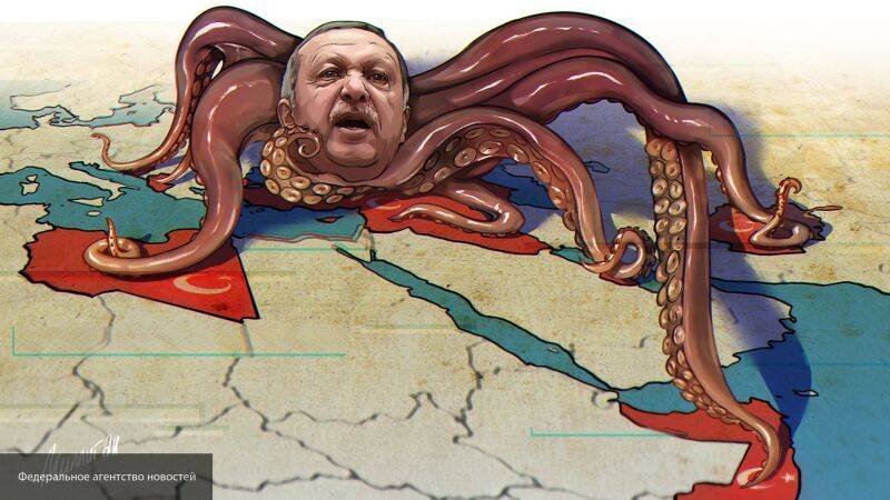 Рожил уверен, что Эрдоган прикрывается экономикой, чтобы скрыть свои политические планы
