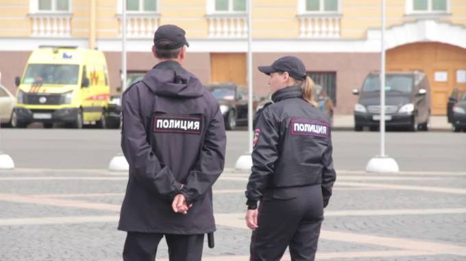 В Москве прошли одиночные пикеты против "обнуления" президентского срока