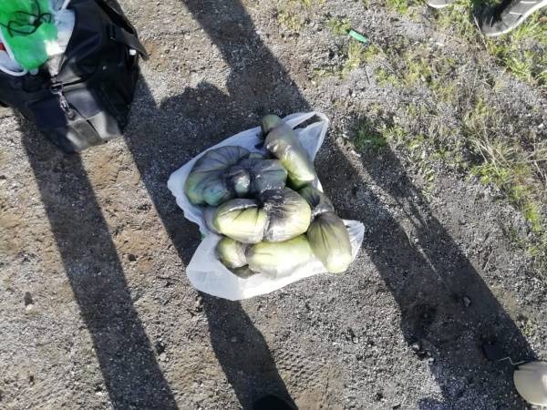 На Южном Урале осудили наркодилера, в топливном баке машины которого нашли бутылки с наркотиками