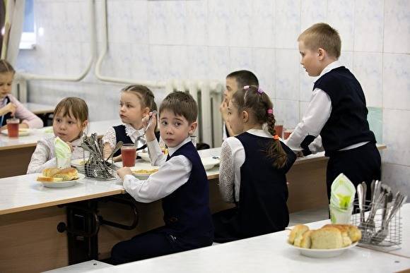 Свердловский депутат попросил Мишустина дать денег на обещанные Путиным школьные обеды