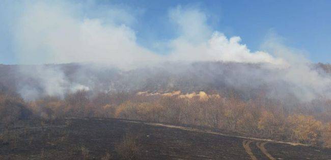 Дым от лесных пожаров в Южной Осетии накрыл Цхинвал