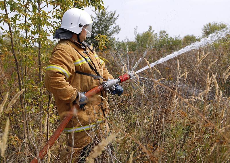 Юг России охватили природные пожары из-за ранней весны