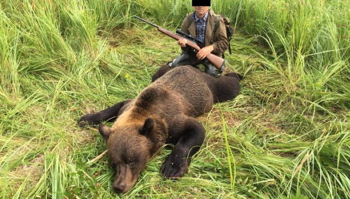 В Новосибирской области браконьера, убившего медведя, нашли по снимку в соцсети