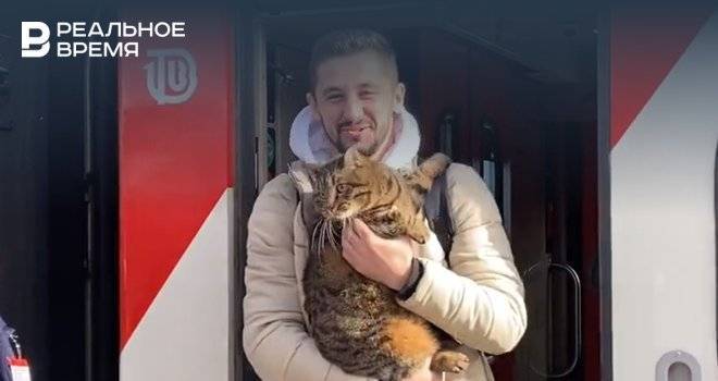 Хозяин толстого кота Виктора по приезде в Казань рассказал, как прошла первая поездка на поезде — видео