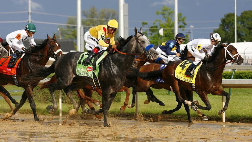 «За алчность обвиняемых расплатились скаковые лошади»: в США раскрыта схема применения допинга в конном спорте