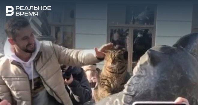 Толстый кот Виктор встретил Казанского кота — фото