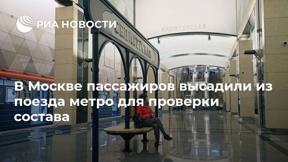 В Москве пассажиров высадили из поезда метро для проверки состава