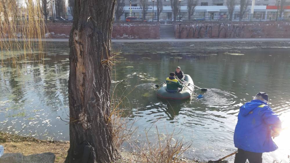 Жители Воронежа пожаловались на превратившееся в болото озеро на Машмете