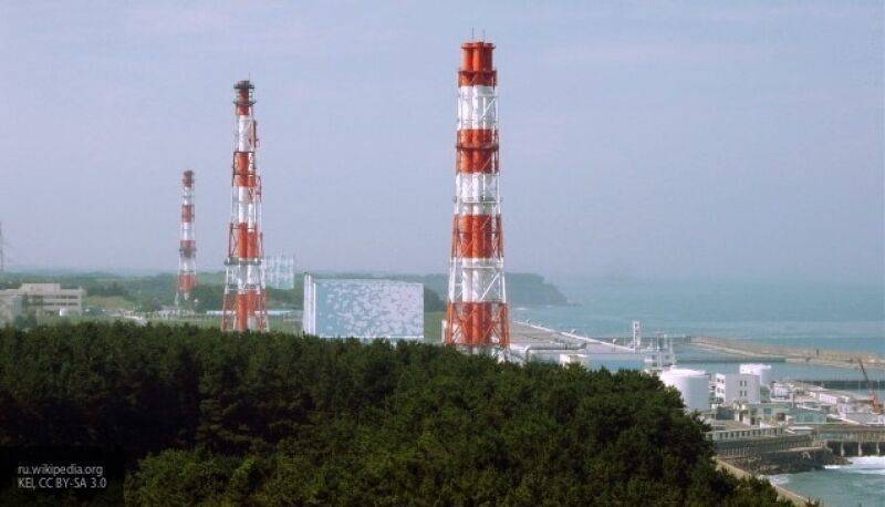 Физик Кузнецов заявил, что АЭС "Фукусима-1" больше не пугает человечество