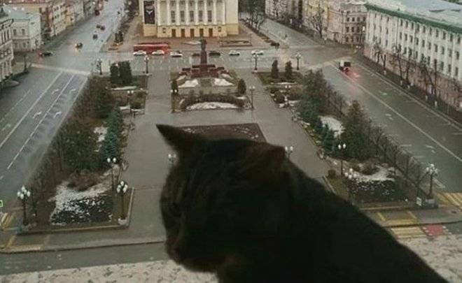 Лилия Галимова рассказала подробности визита кота Виктора Рустама Минниханова