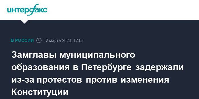 Замглавы муниципального образования в Петербурге задержали из-за протестов против изменения Конституции