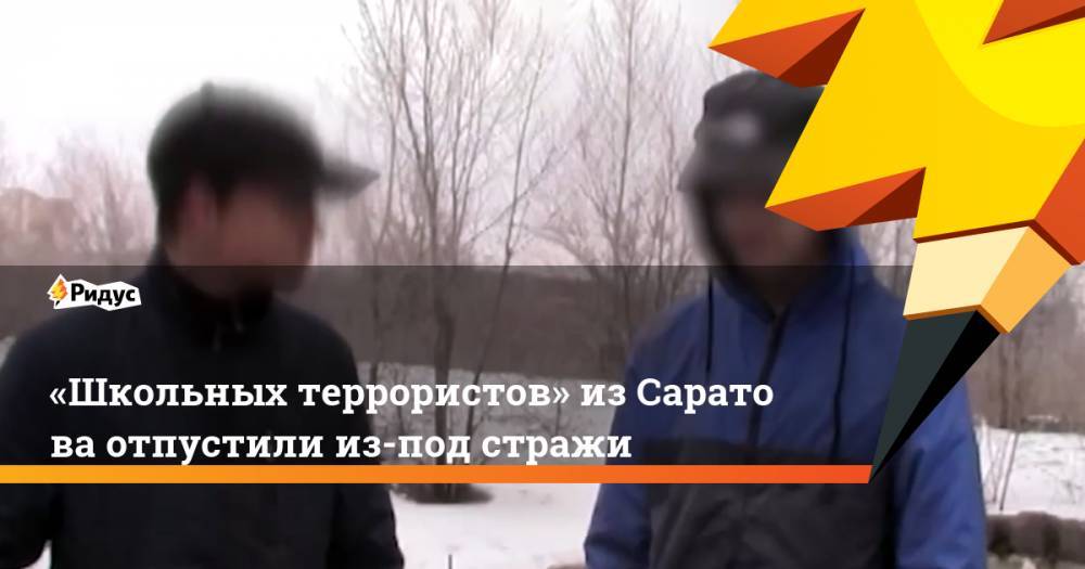 «Школьных террористов» изСаратова отпустили из-под стражи