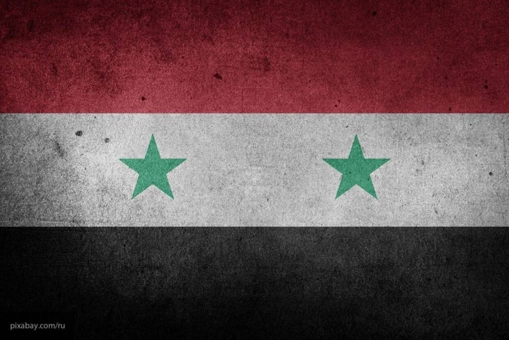 Сирийский посол отметил вклад России в борьбу с терроризмом в САР