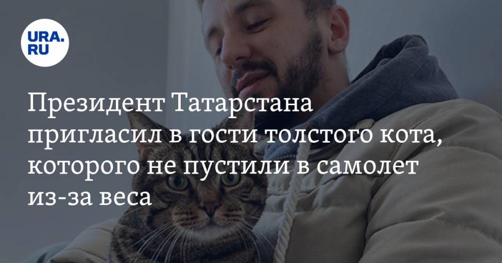Президент Татарстана пригласил в гости толстого кота, которого не пустили в самолет из-за веса. ФОТО