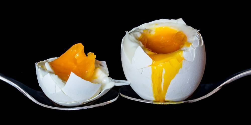 Правда ли, что одно яйцо в день – залог хорошего здоровья?