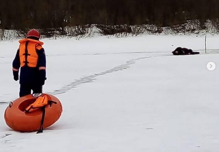 Спасатели вытащили со льда лежащего глазовчанина