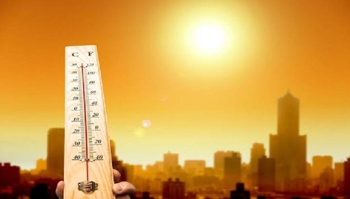 Сильную жару и засуху предсказали летом 2020 года
