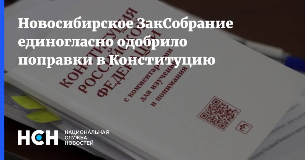 Новосибирское ЗакСобрание единогласно одобрило поправки в Конституцию
