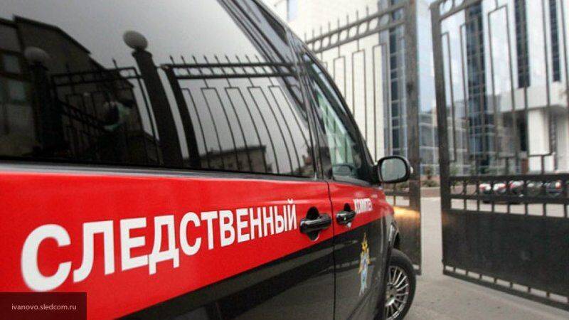 Школьницу насмерть придавило упавшим деревом в Калининградской области