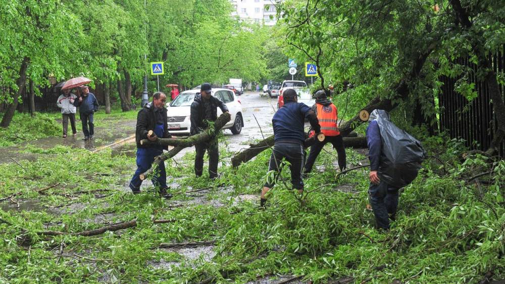 В Калининградской области утих ветер и МЧС отменило штормовое предупреждение