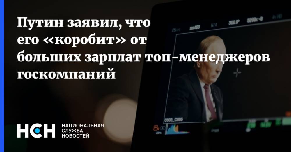 Путин заявил, что его «коробит» от больших зарплат топ-менеджеров госкомпаний