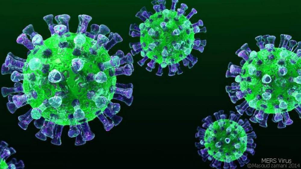 Смертность от коронавируса оказалась ниже, чем ожидалась
