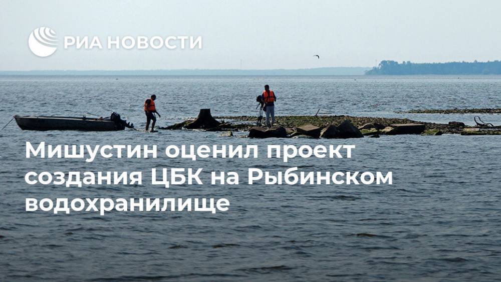 Мишустин оценил проект создания ЦБК на Рыбинском водохранилище