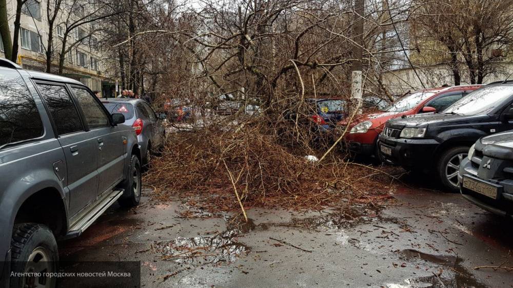 Москвич стал жертвой ураганного ветра в столице