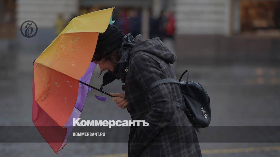 Один человек погиб и трое пострадали из-за урагана в Москве